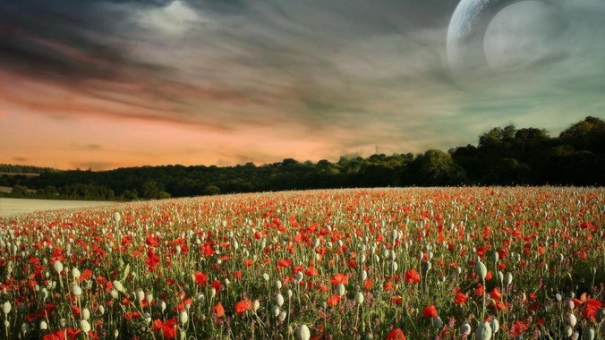 体制内着装最忌讳的是什么？